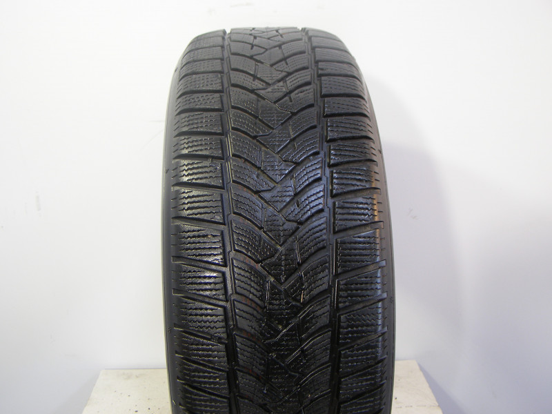 Dunlop Wintersport 5 suv guma