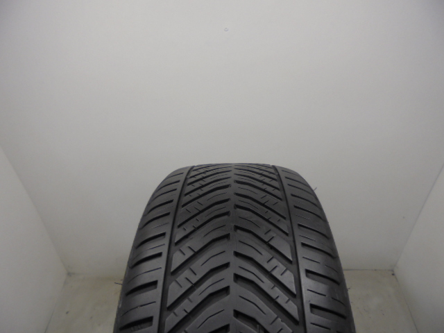 Riken All Season guma