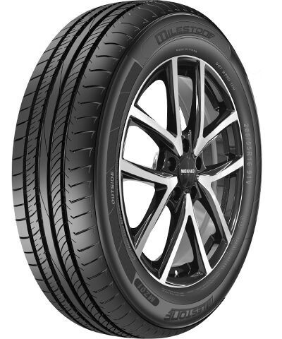 Milestone MA01 guma