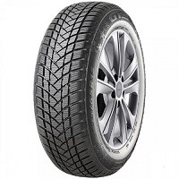 GT Radial WINTERPRO2 guma